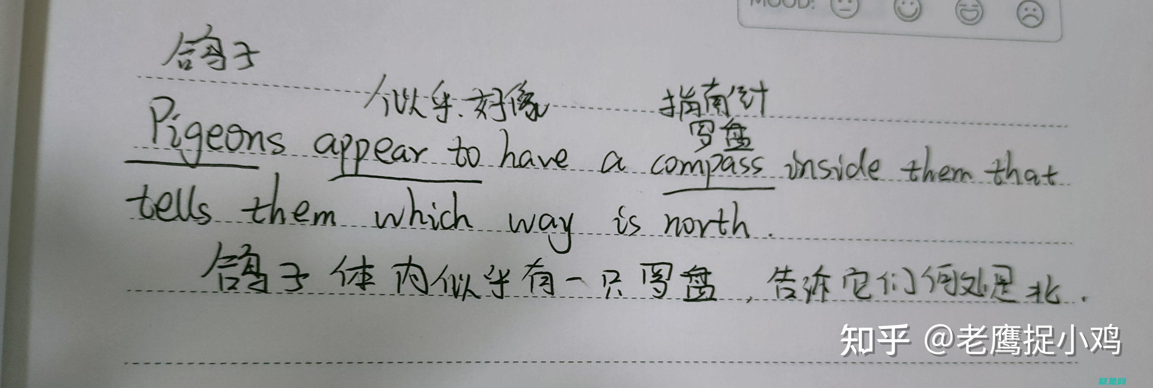 教程這個(gè)單詞英文怎么翻譯 (教程這個(gè)單詞怎么讀)