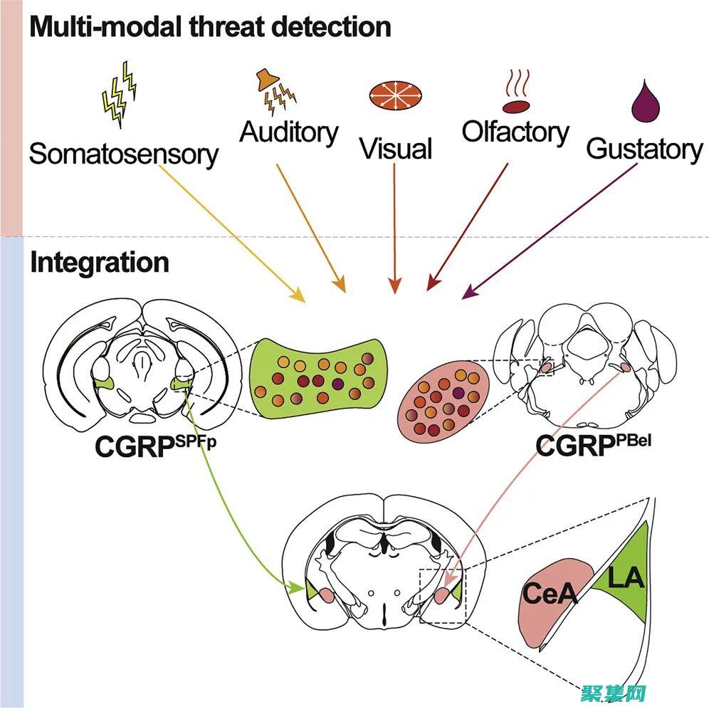 準備迎接恐懼，揭示世界上八幅最可怕的圖像，會讓你毛骨悚然 (準備迎接恐懼的成語)