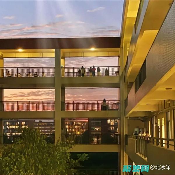 揭秘校園深處不為人知的靈異之謎，真實事件還原 (校園的深處)