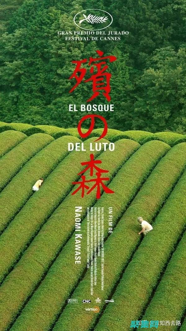 穿越生死之界：朱秀華借尸還魂后的人生 (穿越生死之界的小說)