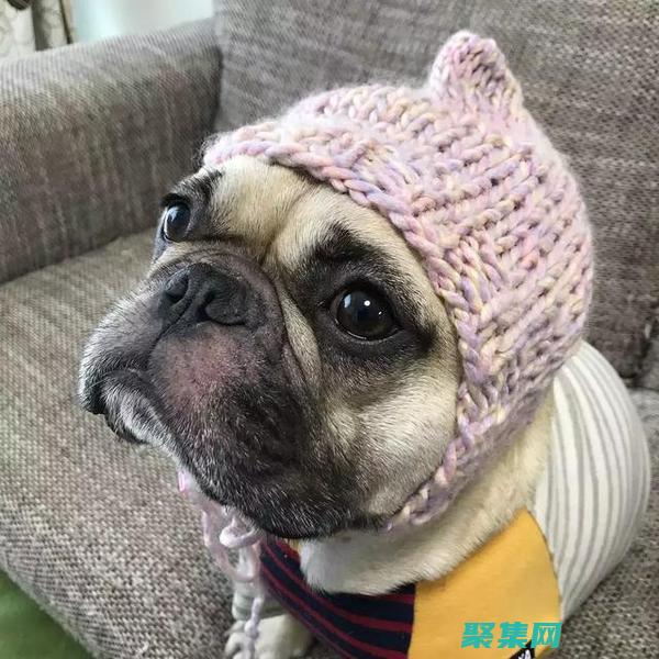 揭示微笑的狗恐怖原圖背后的技術手法：恐怖的秘密 (揭示微笑的狗叫什么)