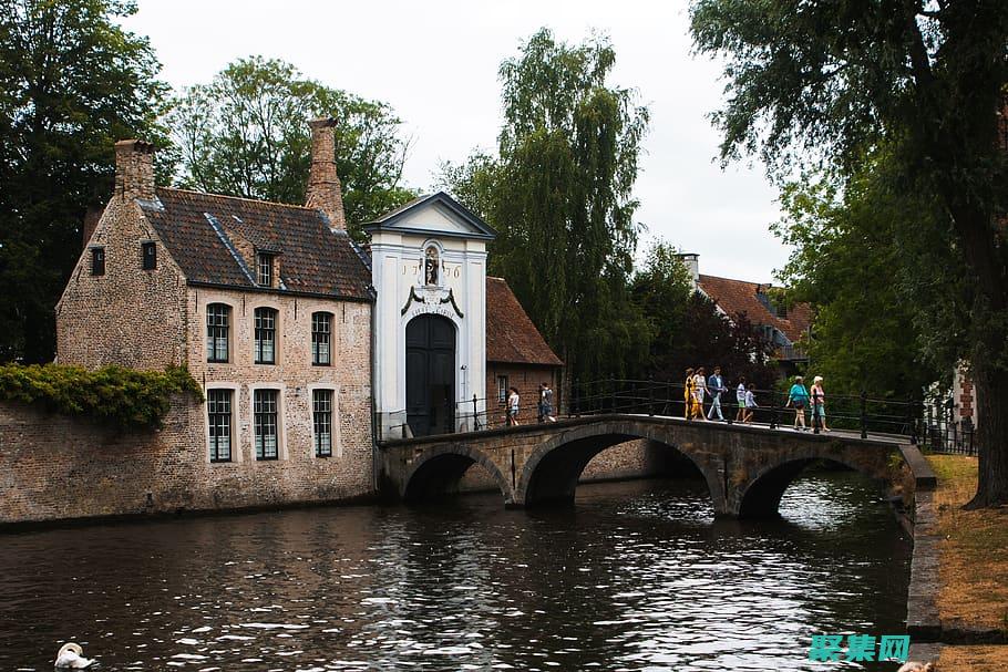 JavaScript視覺效果大全：從基本到高級 (javascript)