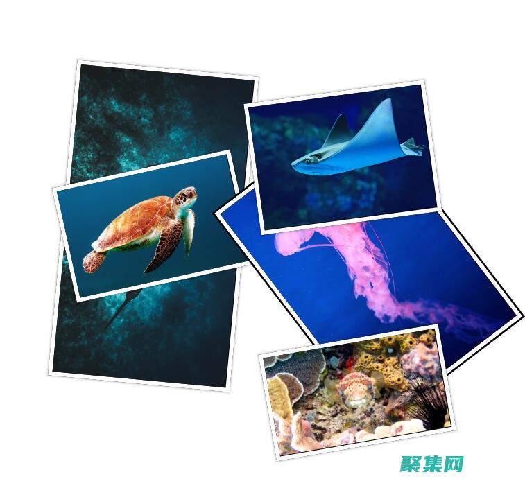 揭開JS相冊的秘密:用視覺效果點亮你的畫廊 (javascript相冊)