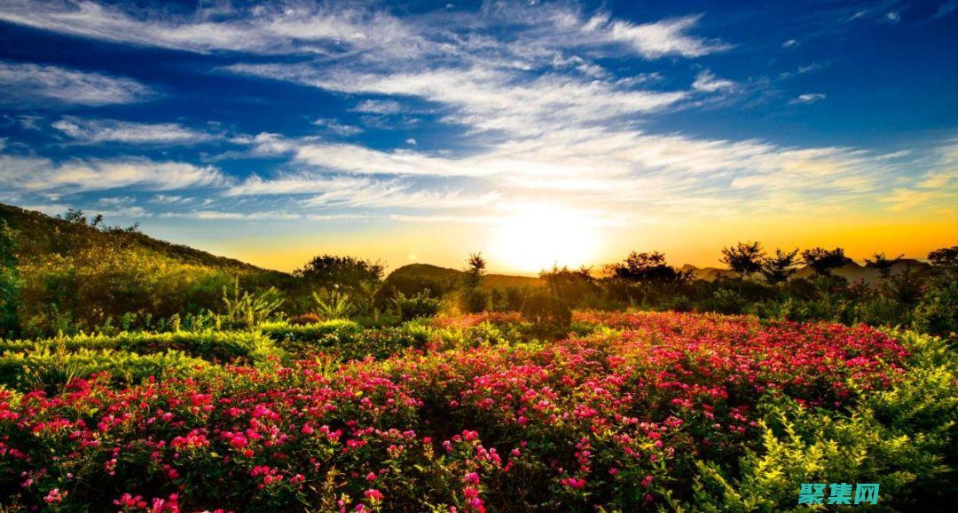 優化您的旅游網站，提高轉換率：體驗我們的定制旅游網站源碼 (優化您的旅游資源)