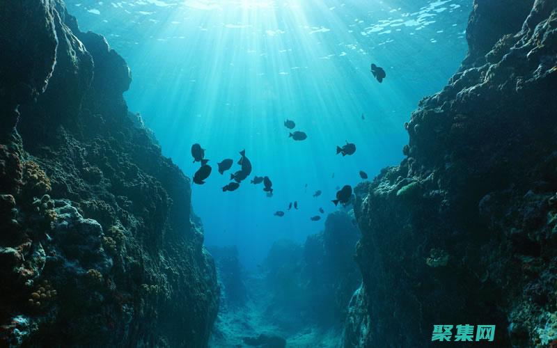 Floor 函數使用指南：從理論到實際應用 (floor函數)