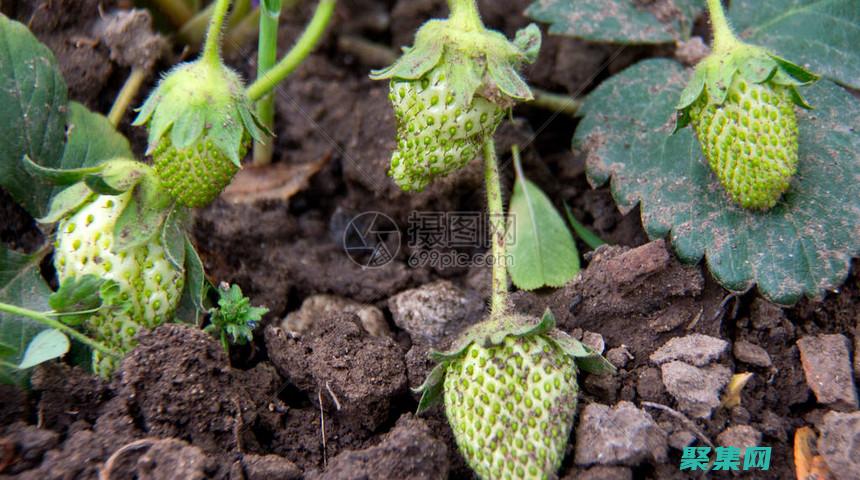 用魔法點亮你的