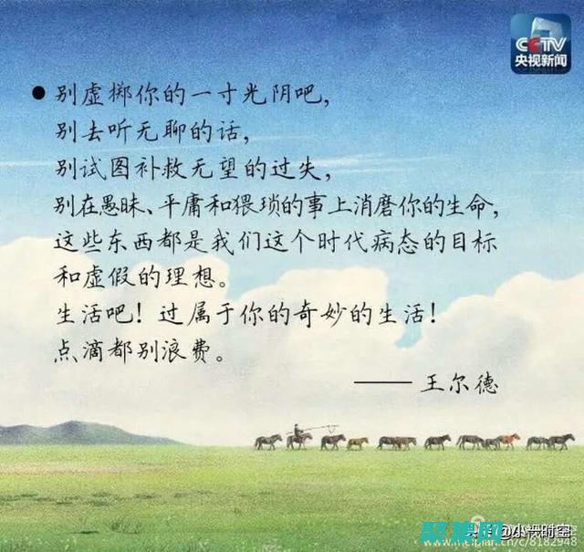 從零到英雄：數據庫編程學習計劃 (從零到英雄泰劇)