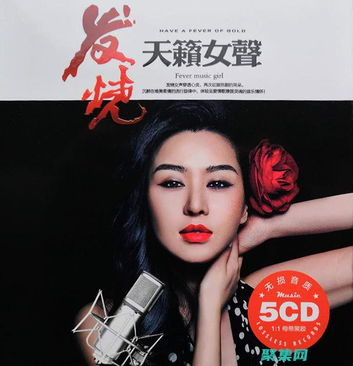 為發(fā)燒友打造的媒體播放器：終極的音視頻播放解決方案 (請為發(fā)燒)