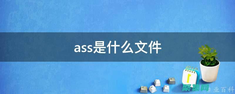 掌握 Assert 函數: 輕松實現程序健壯性和可追溯性 (掌握ascii編碼)