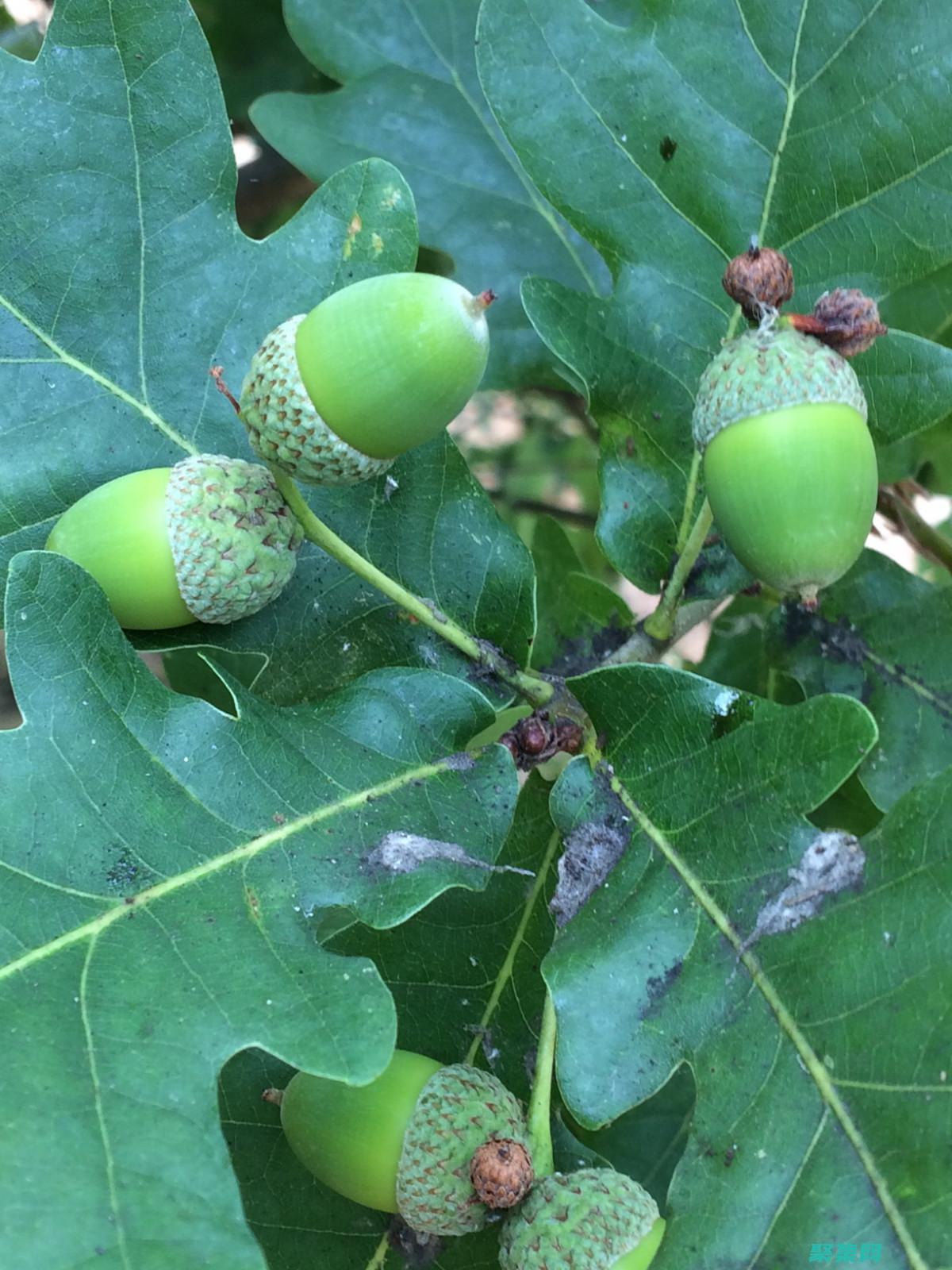 下列關(guān)于方法重載的說法錯(cuò)誤的是