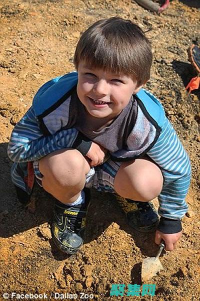 探索 Java 編程的奧秘：一本全面的電子書，助你掌握 Java (探索Java的無限魅力)