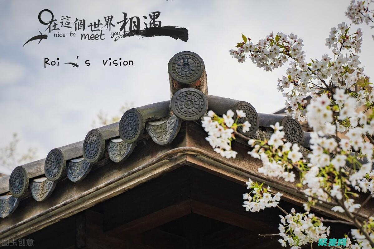 優(yōu)化網(wǎng)站盈利能力：巧用浮動(dòng)廣告代碼最大化廣告收入潛力 (優(yōu)化網(wǎng)站盈利模式)