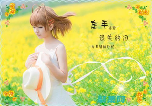 一網打盡！10款頂級織夢淘寶客模板等你來下載 (一網打盡1-16)