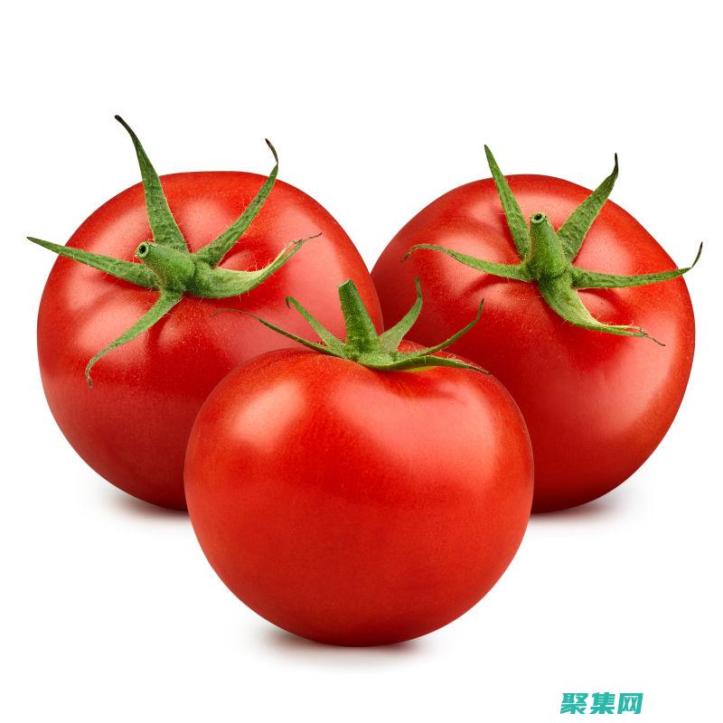 three.js初學者指南：一步一步構建你的第一個3D場景 (three.js)