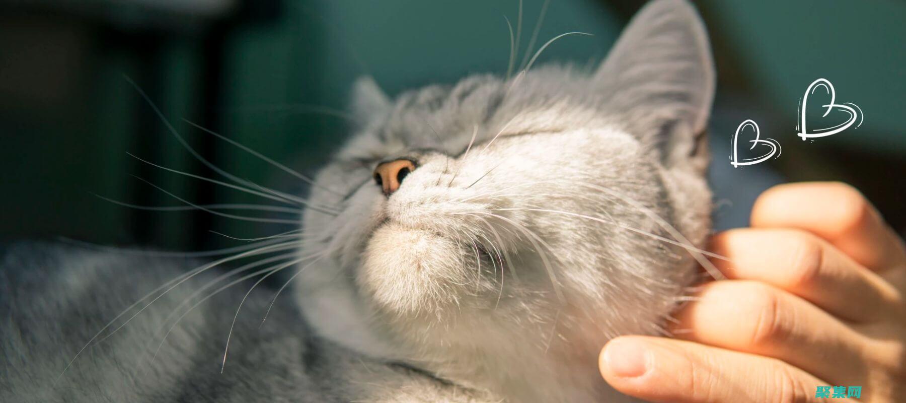 源碼教程：探索編程語言奧秘，解鎖開發(fā)潛力 (探碼科技有限公司)