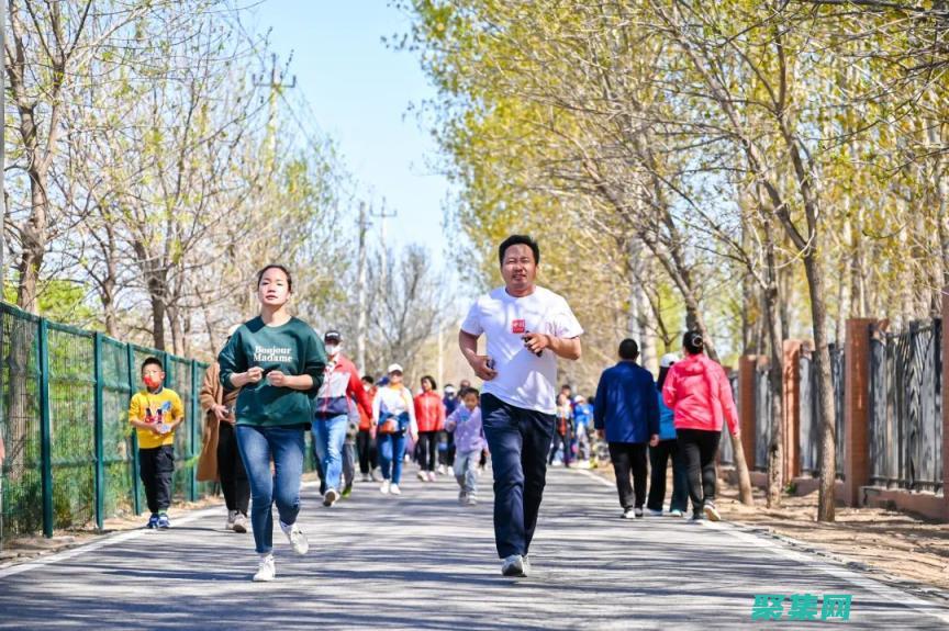 揭曉 2013年主宰技術世界的頂級編程語言 (揭曉2021榮盛發展的股價)