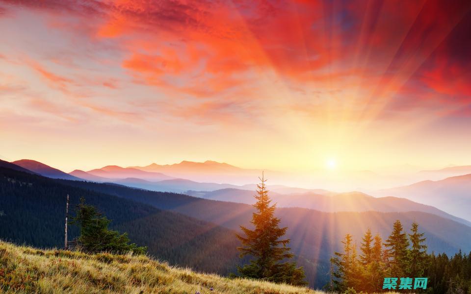 免費下載各種網(wǎng)站