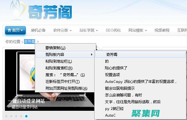 復制自動生成的代碼。(復制自動生成的序號)