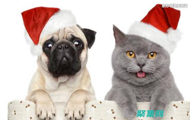 中級程序員的職業發展之路