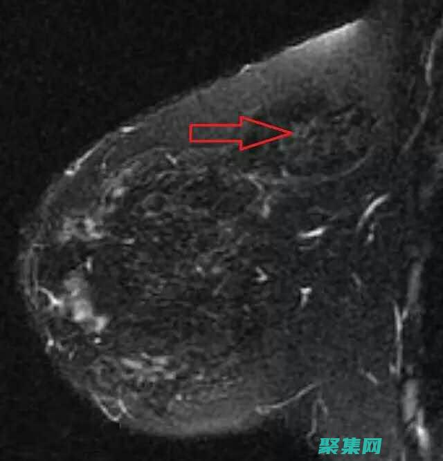 手把手教你構(gòu)建專業(yè)網(wǎng)站：全面的織夢建站指南 (手把手教你構(gòu)建自己的Linux系統(tǒng))