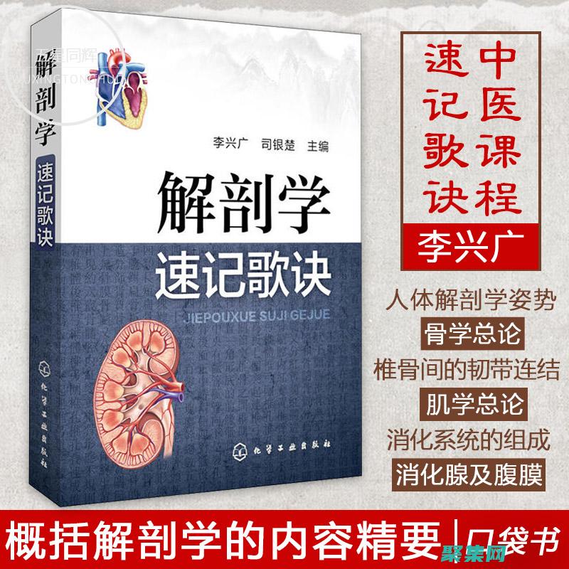 深入剖析 Java 中的遞歸函數：本質、優勢和陷阱 (深入剖析java中的裝箱和拆箱)