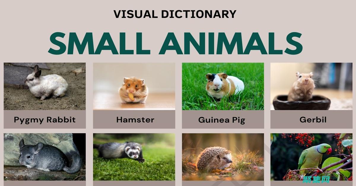 small 函數(shù)指南：釋放 JavaScript 中數(shù)字處理的潛力 (small函數(shù)excel)