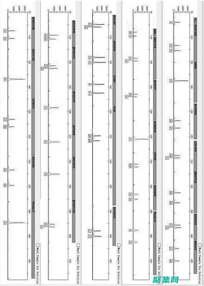 揭秘 strip_tags 函數(shù) (揭秘st洲際的背景)