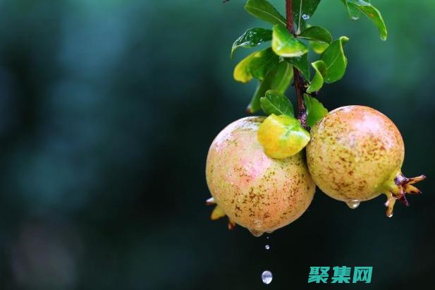 clearTimeout：JavaScript 中終止計時器的指南 (cleartarget)