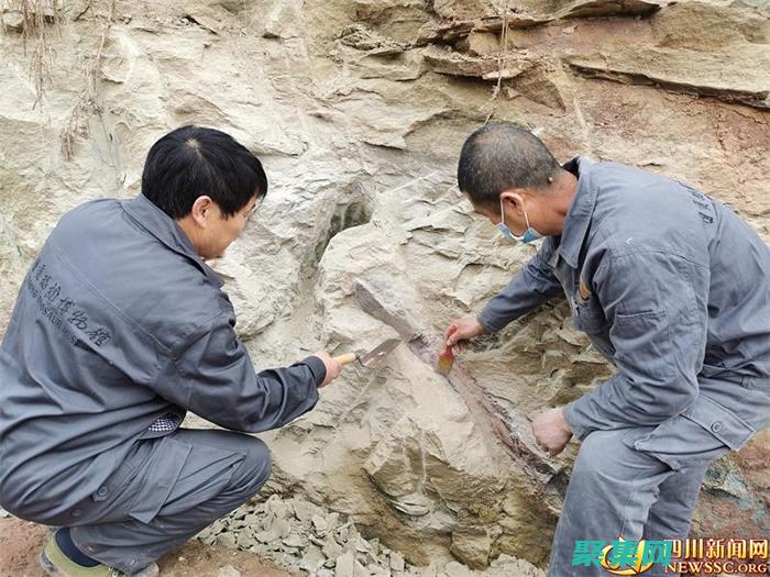 發(fā)掘 GWT-Ext 的強大功能：構建響應式、功能豐富的現(xiàn)代 Web UI (發(fā)掘的意思)