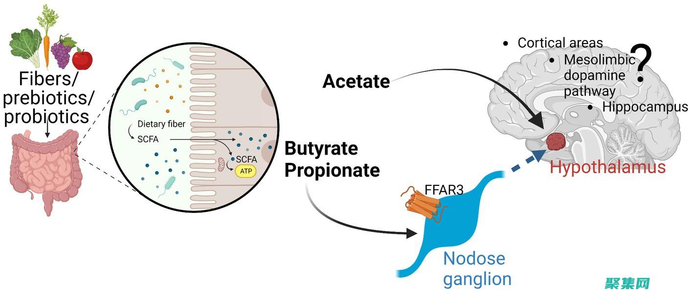 AxisFault 的深入解析：根本原因、診斷和修復 (axis翻譯成中文)