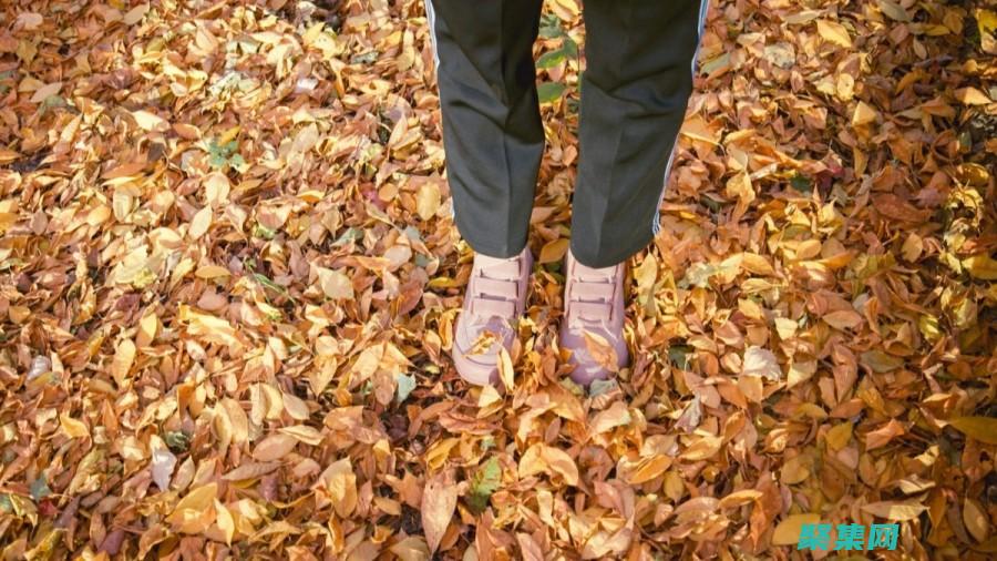 踏上 CSS 旅程：利用 margin-top 增強網站的視覺吸引力 (踏上旅途的意思是什么)