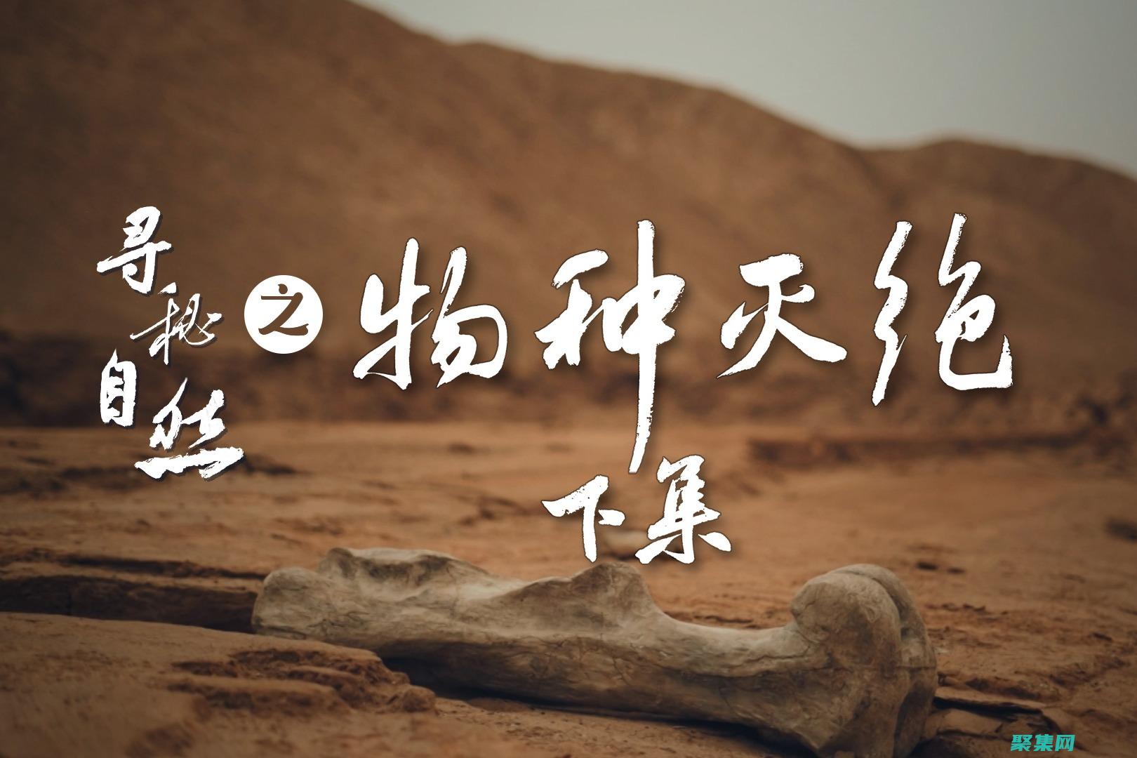 第六次大滅絕：環(huán)境退出對生物多樣性的威脅 (第六次大滅絕還有多久)