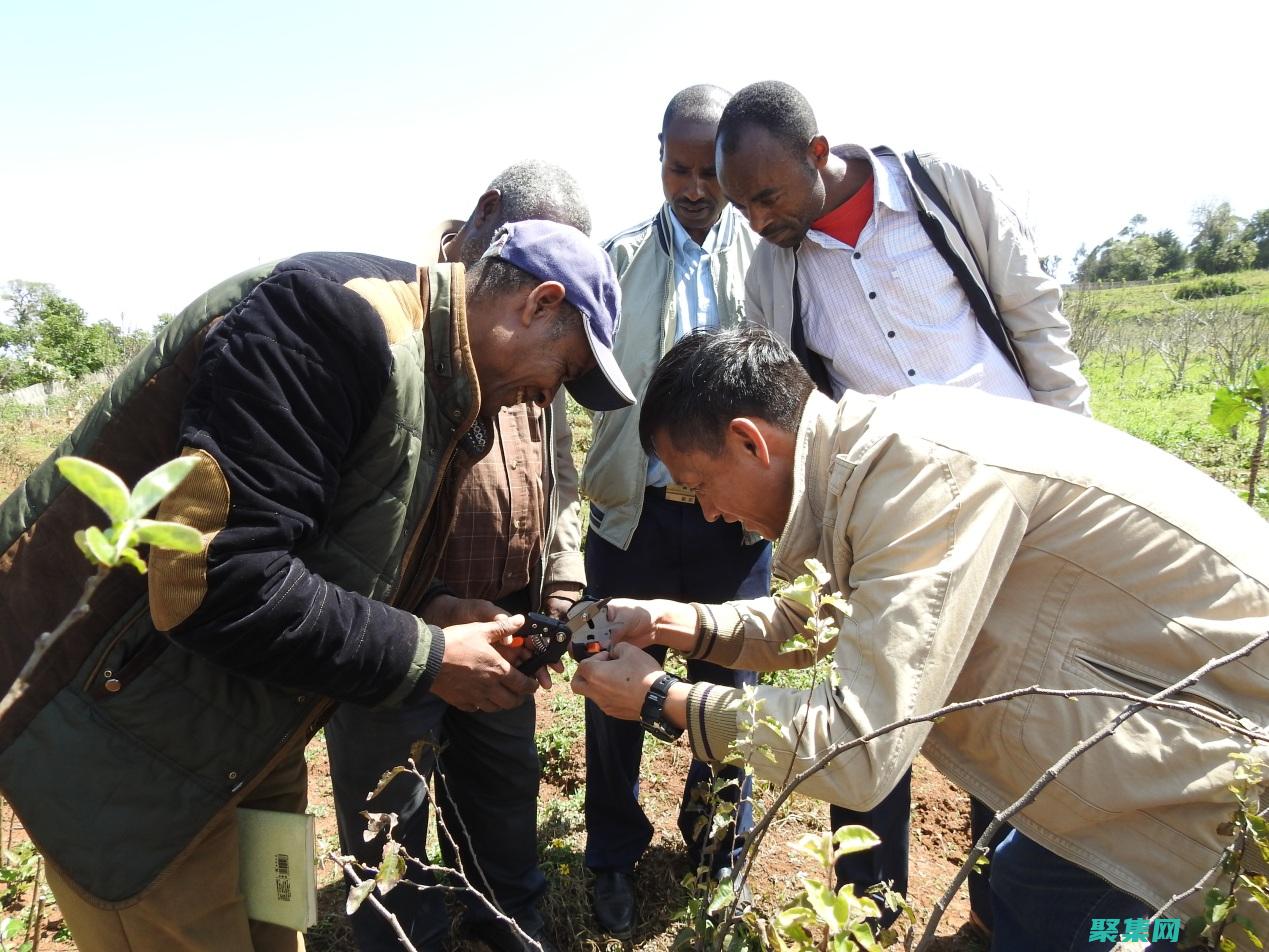 他們可以幫助你回答和克服困難