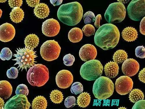 遠離有害物質手抄報