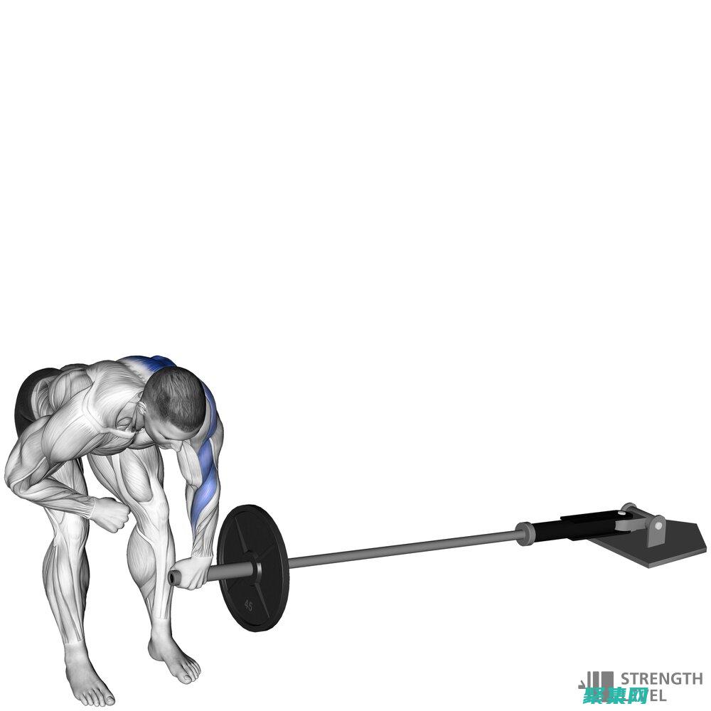 Rowspan: 為 HTML 表格單元格跨越多行的新選擇。 (rowspan和colspan屬性)