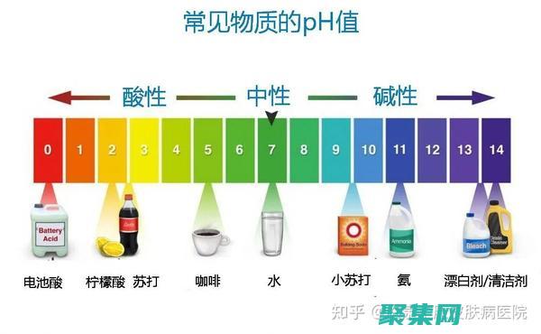 深入了解PHPinArray：加快數組處理速度的秘密 (深入了解pcr技術的原理及研究成果)