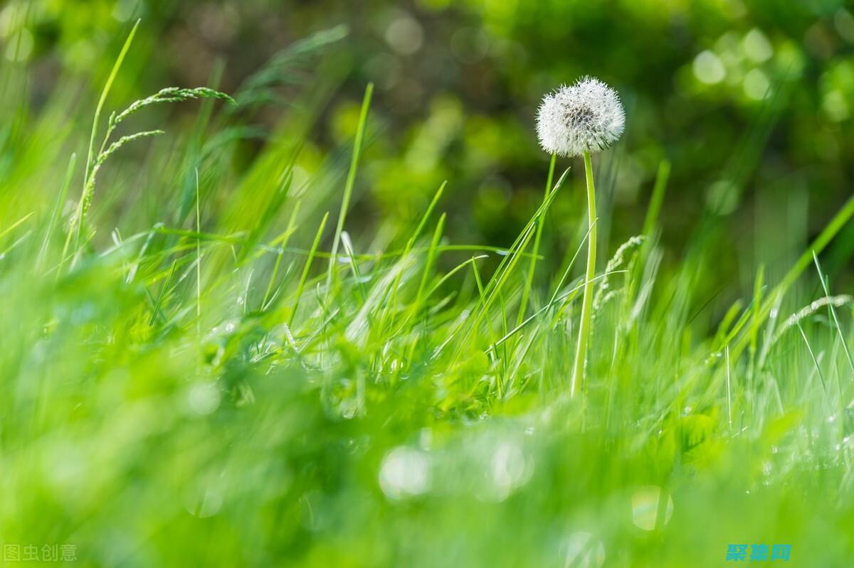 打造令人難忘的體驗：利用滾動圖片的力量 (打造令人難忘的城市)