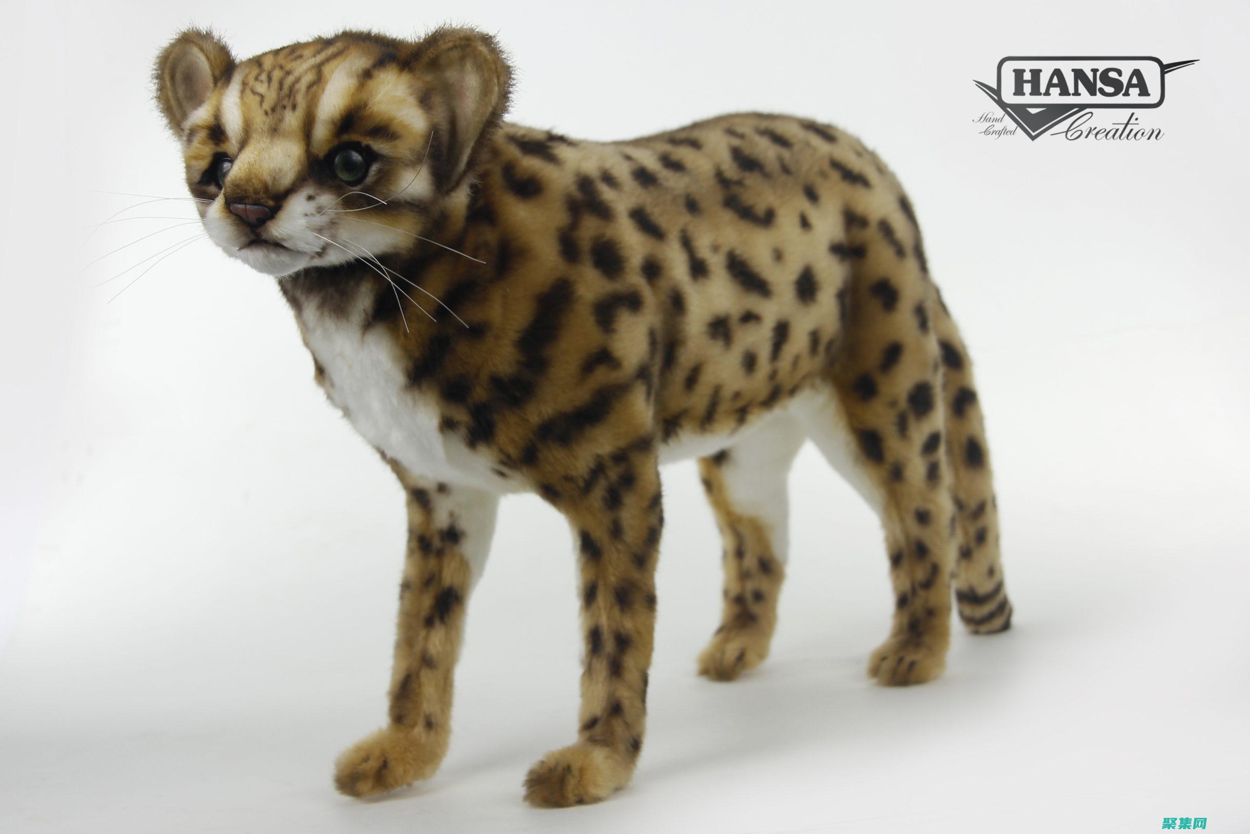 使用 Shiftdim輕松應對多維數組的維度整理 (使用示范法需要注意什么)