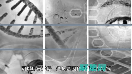 解讀基因編輯技術的倫理復雜性，探討其對人類健康和社會的潛在影響 (解讀基因編輯的意義)