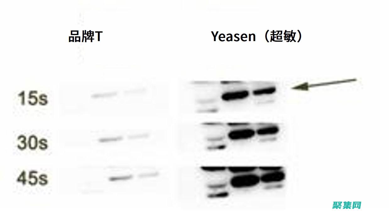 探索 Eclipse 3.4，用于構(gòu)建復(fù)雜應(yīng)用程序的理想 IDE (探索ecco)