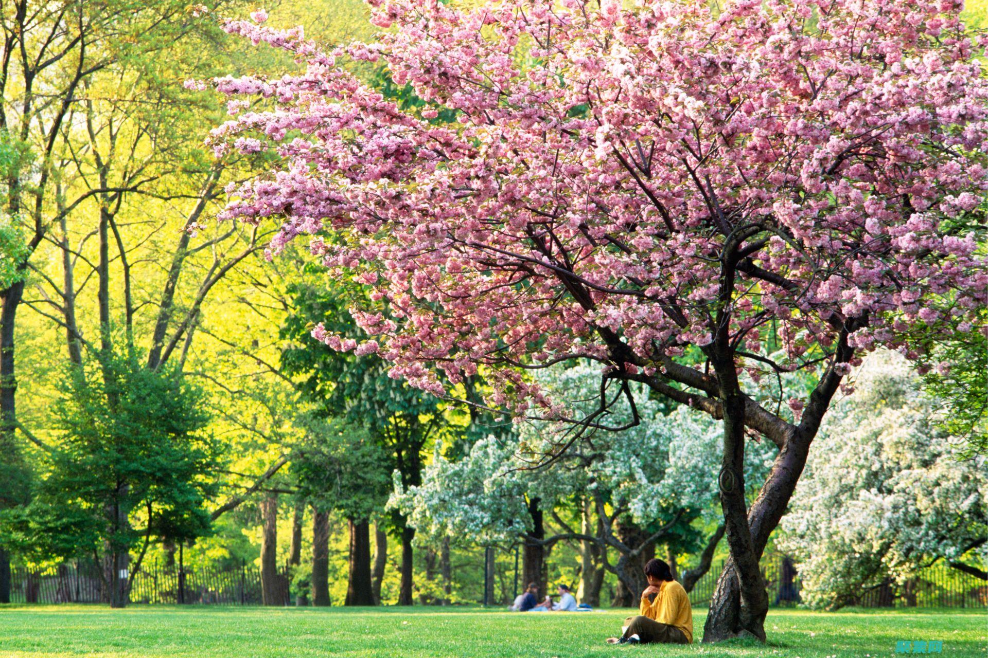 Spring MVC 在分布式系統(tǒng)的角色：實(shí)現(xiàn)可擴(kuò)展和彈性的應(yīng)用程序 (springboot)