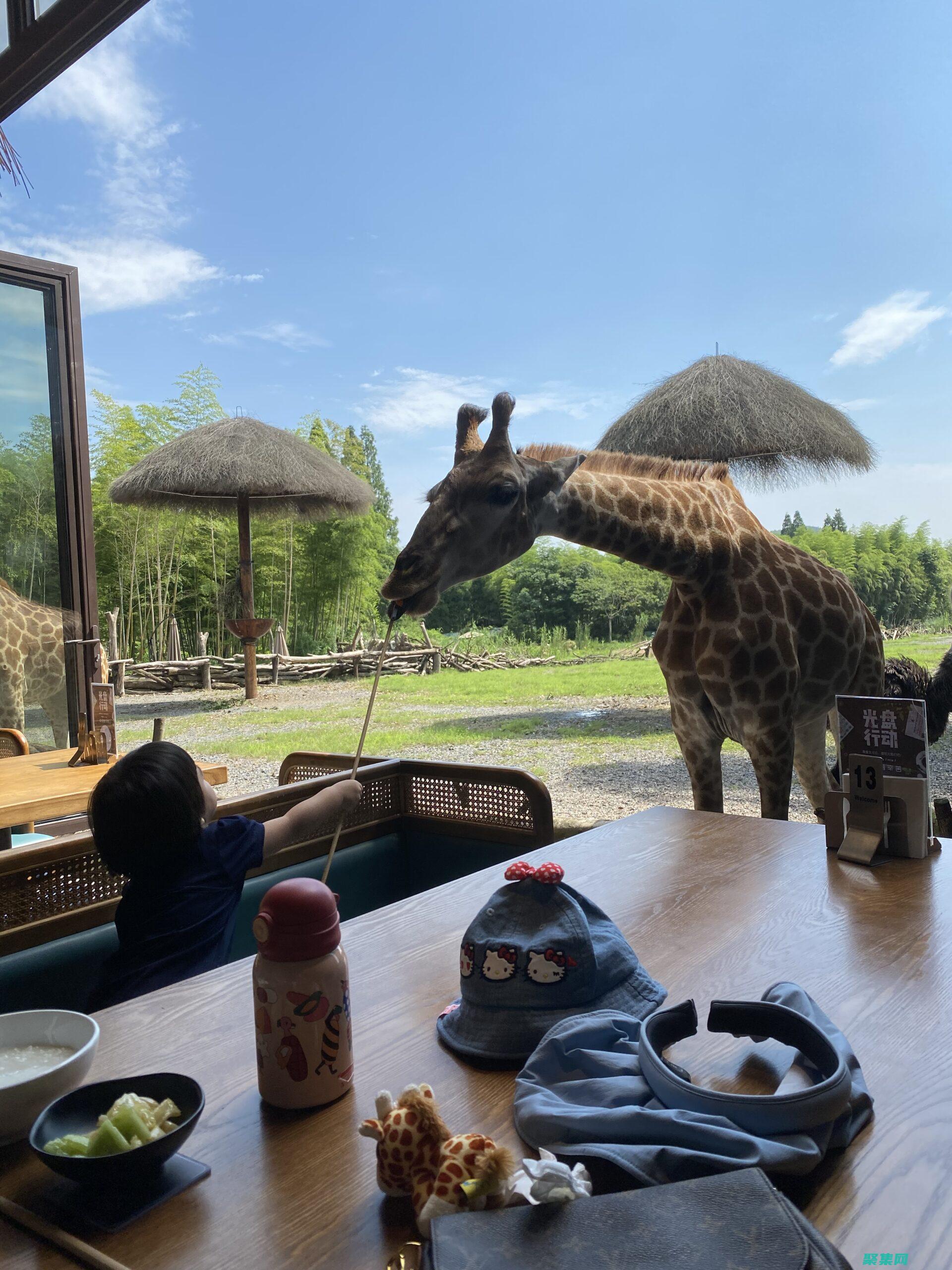 探索 InArray 的優勢：從存儲到處理，全方位革新 (探索ing英語)