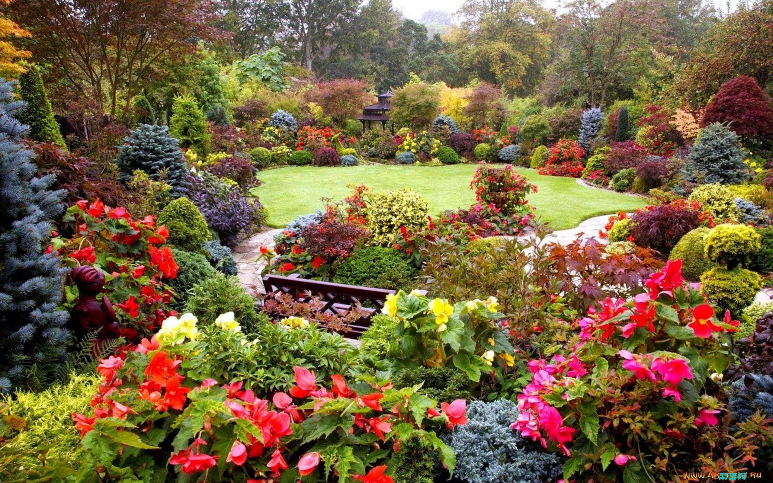 Spring LDAP 的高級指南：優化 LDAP 查詢和性能 (spring in my hometown英語作文)