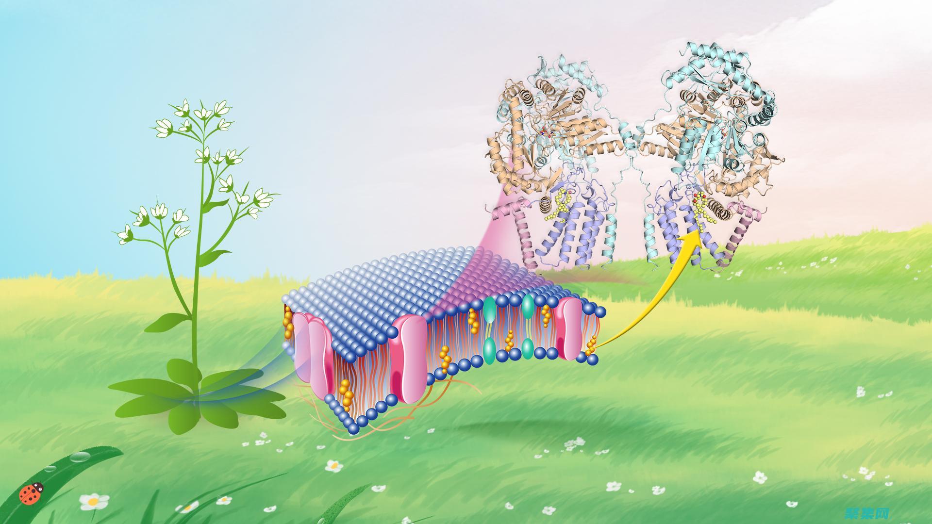 揭秘行高背后的美學(xué)原則：創(chuàng)造平衡和諧的排版杰作 (行高是什么意思)