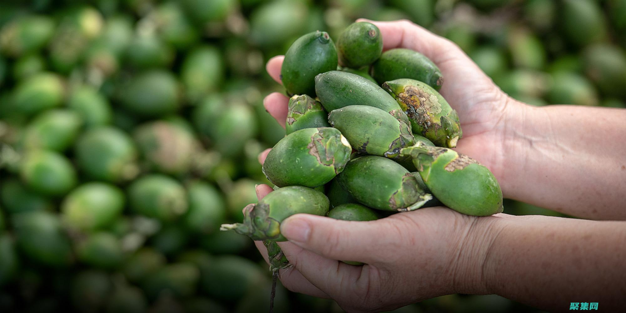 Beanutils.populate：Java 開發人員的必備庫 (beanutils的copyproperties用法)