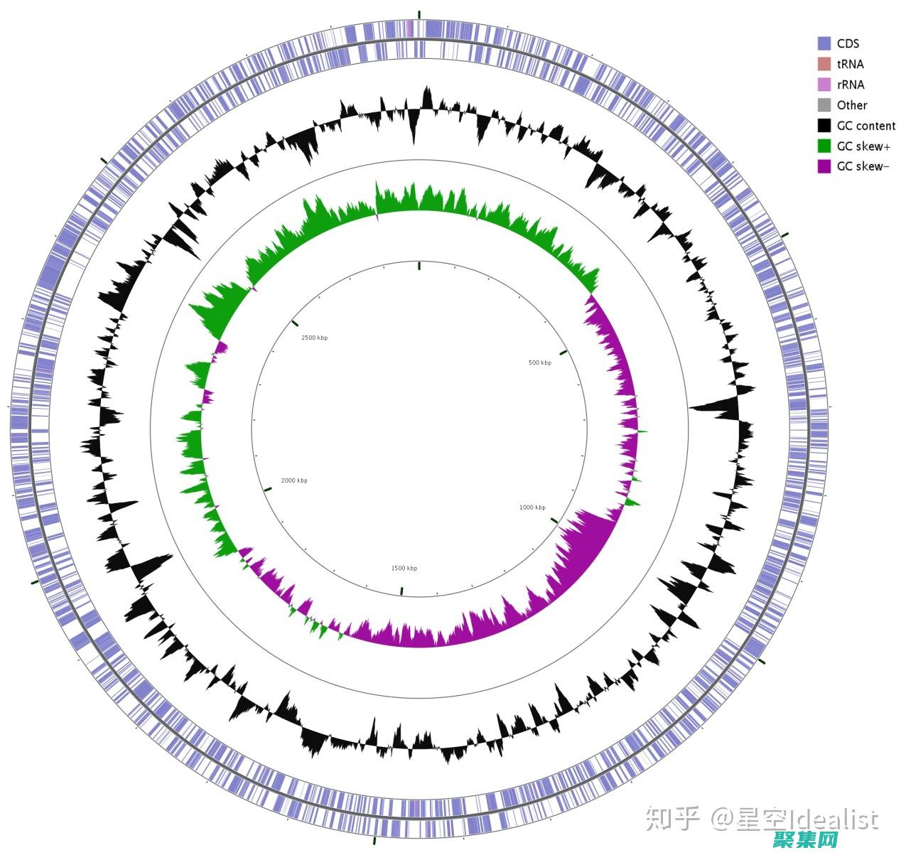 構建 Java 應用程序的基礎：掌握公共類的概念 (構建java環境)