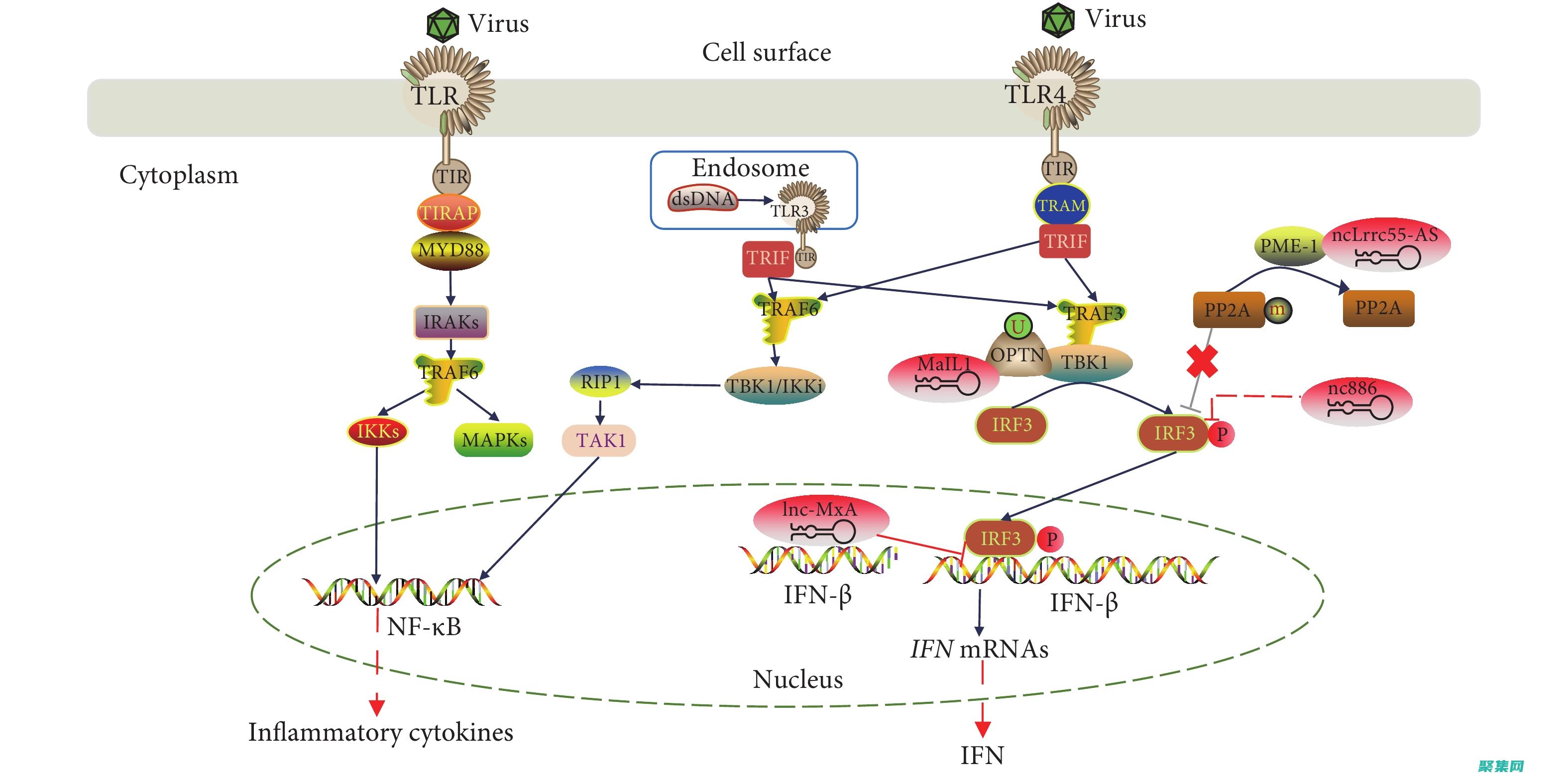 實現(xiàn)透明的完整指南