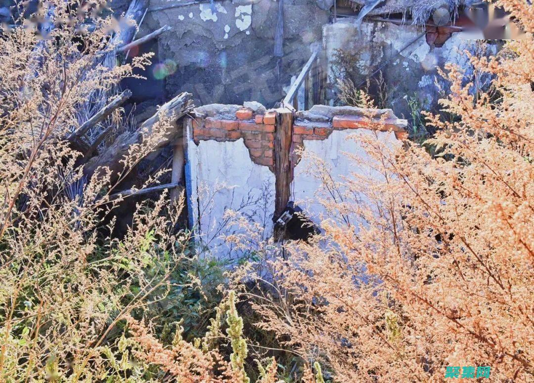 Ionic案例研究：探索利用該框架構建的成功移動應用程序 (ionic案例源碼)