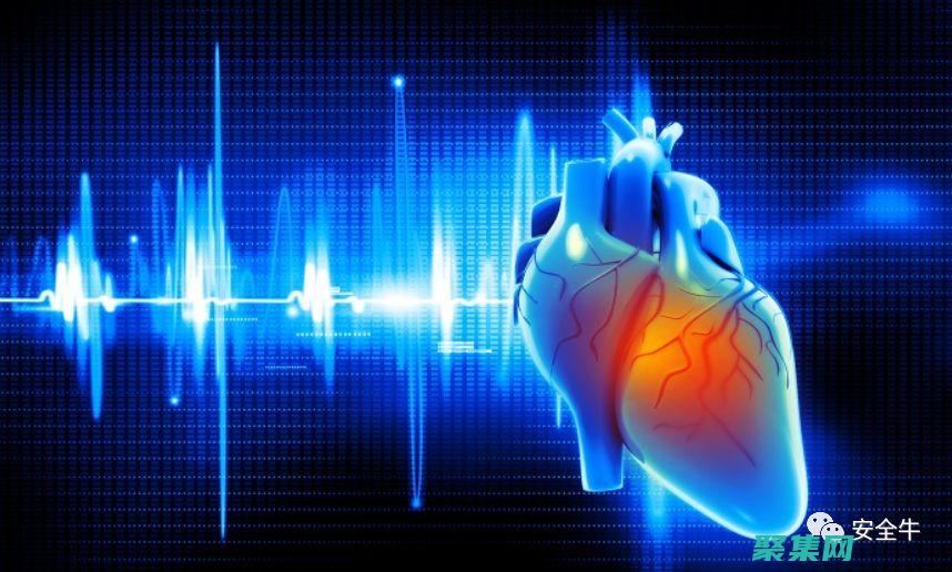 心血漏洞：對(duì)網(wǎng)絡(luò)時(shí)代的影響和緩解措施 (心漏血是怎么回事)