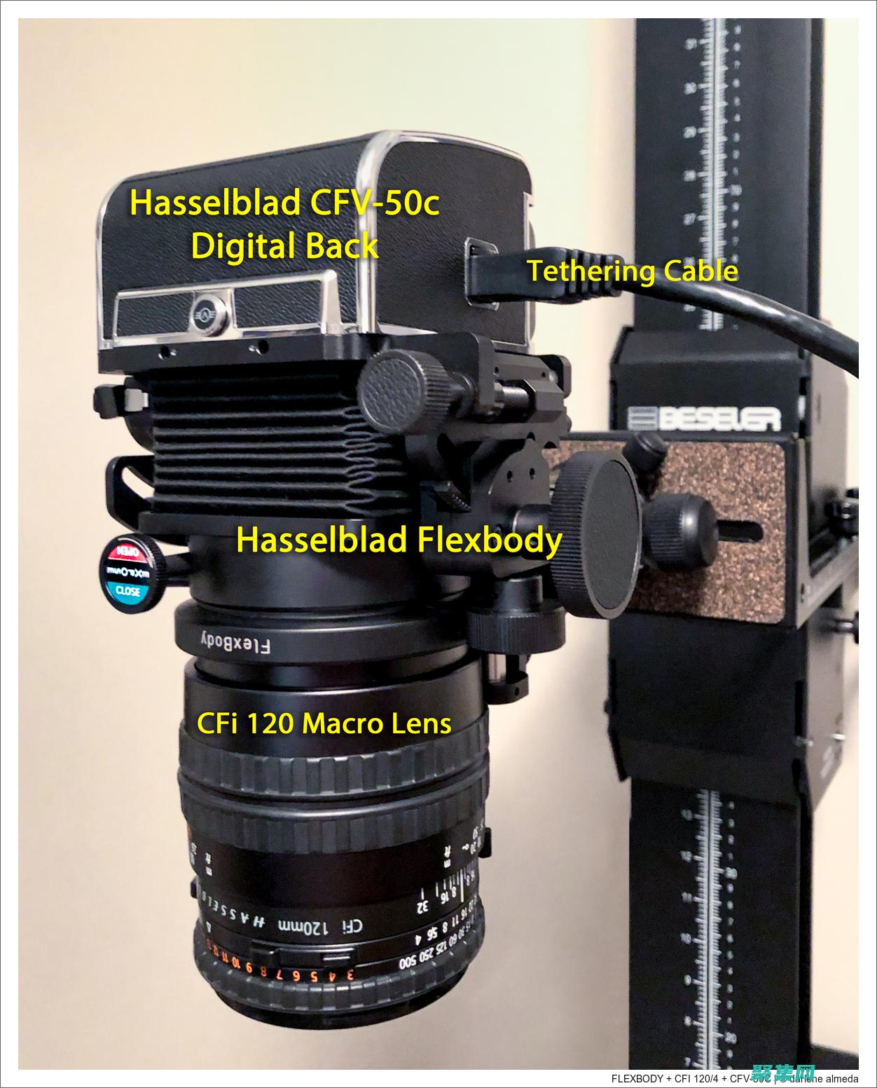 Flex Builder 指南：為 Java 開發人員編寫 Flash 和 Flex 應用程序 (flixbus)